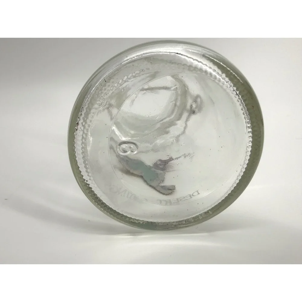 Desert Springs Hummingbird Glass Jar 6.5in Clear Wire Bale Lid Country Decor‎